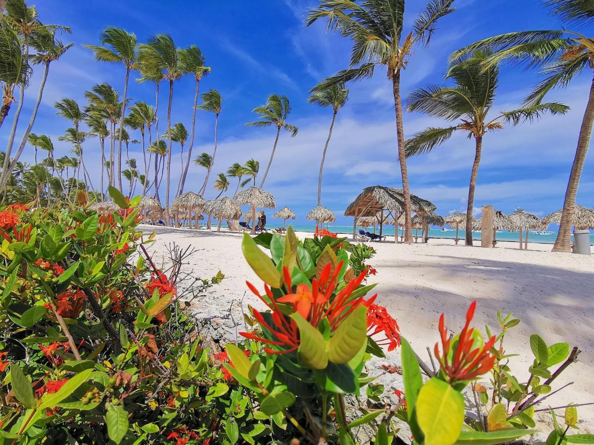 Bavaro Beach Homes With Wifi Kitchen Parking Bbq Hotel Punta Cana